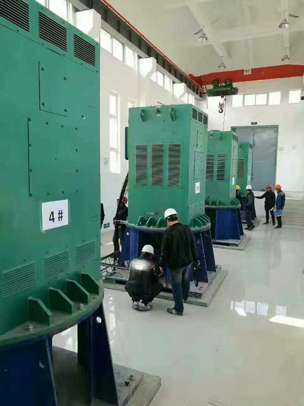 YKK8007-4某污水处理厂使用我厂的立式高压电机安装现场