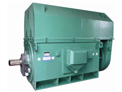 YKK8007-4Y系列6KV高压电机