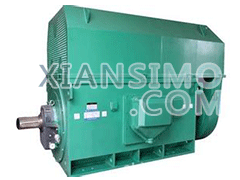 YKK8007-4YXKK(2极)高效高压电机技术参数